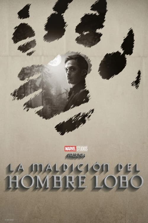 Image Hombre Lobo por la noche