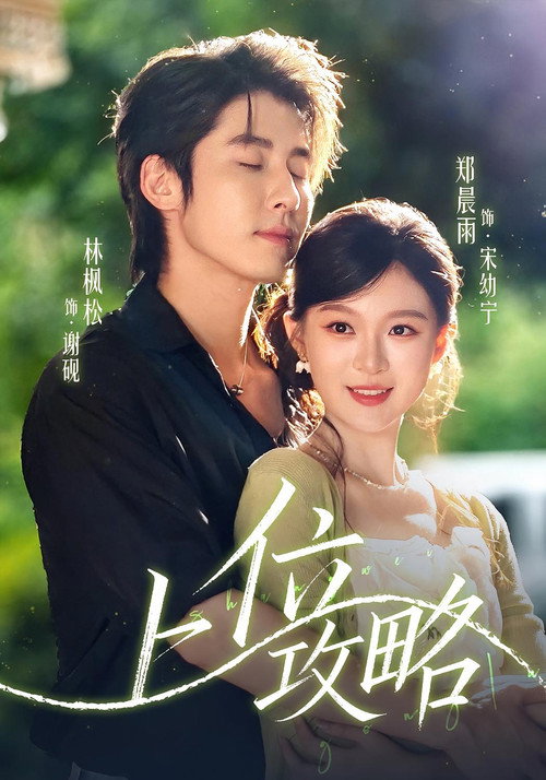 上位攻略 poster