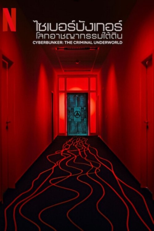 Cyberbunker: The Criminal Underworld poster