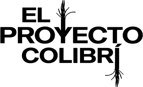 Linha Reta - Logo 5