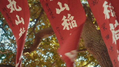 Dreams in Japan Backdrop Blur