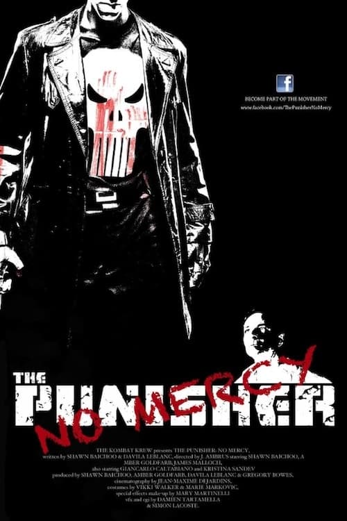 The Punisher: No Mercy Movie Poster Image