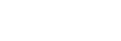 The Armstrong Lie