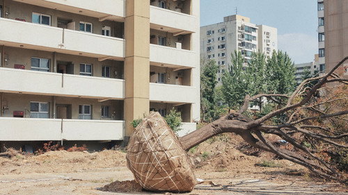 고양이들의 아파트 - imagem 2