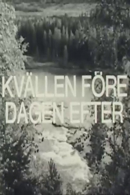 Kvällen före dagen efter