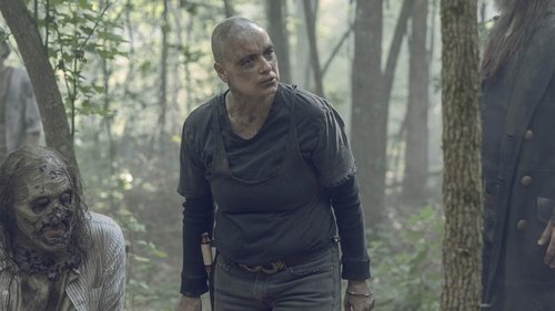Assistir The Walking Dead S10E05 – 10×05 – Dublado