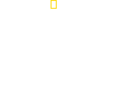 Valley of the Boom