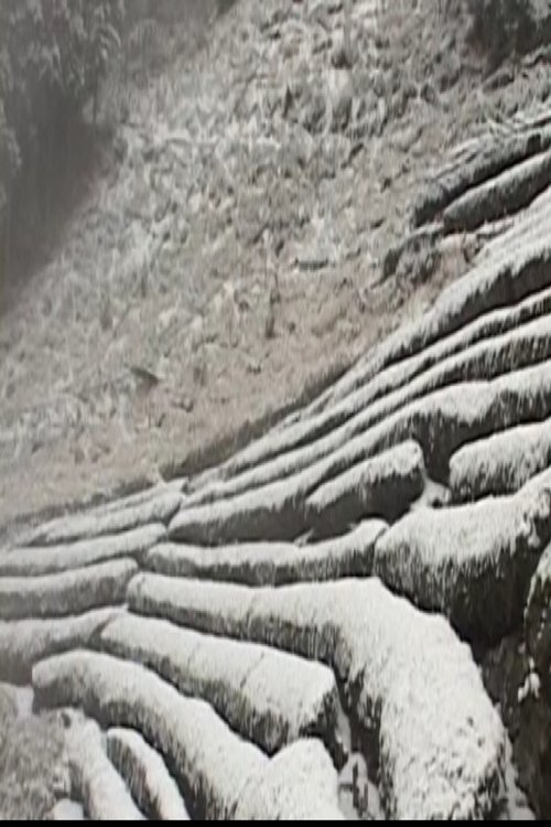 天竜区奥領家大沢 冬
