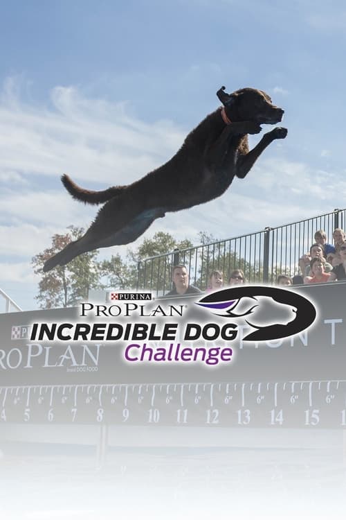 Poster The Incredible Dog Challenge Tour