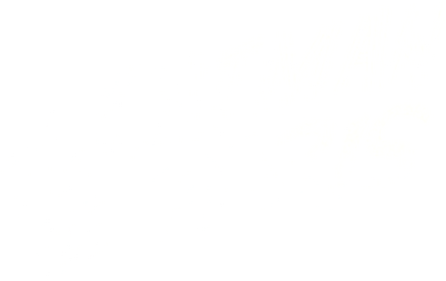 The Catman of Paris