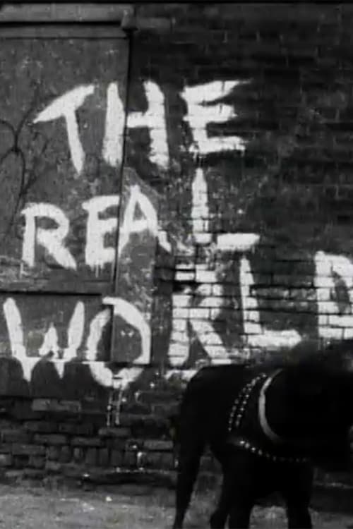 The Real World, S01 - (1992)