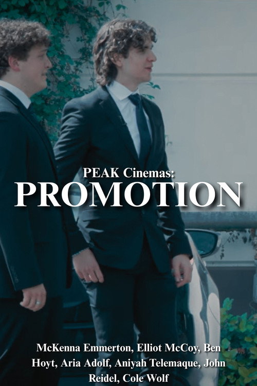 PROMOTION