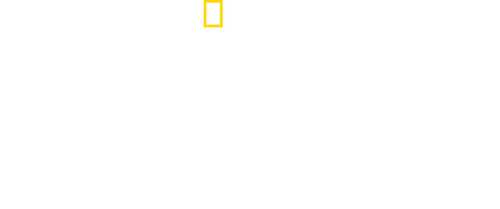 Hitler's Last Year