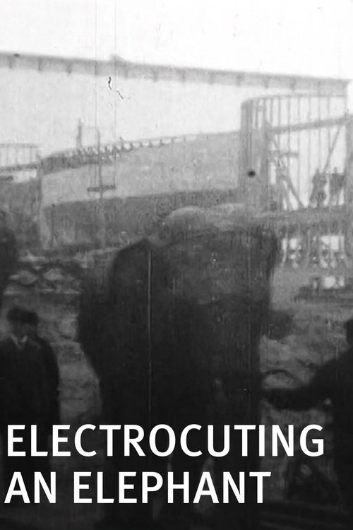 Electrocuting an Elephant 1903