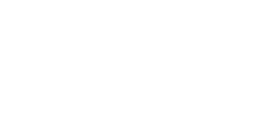 Dashing Youth