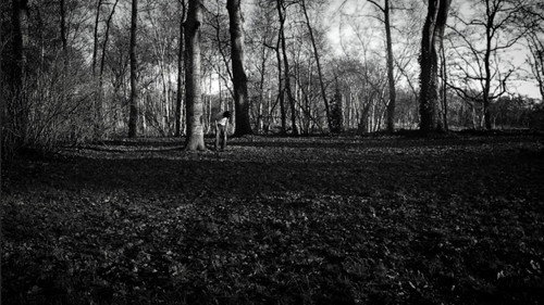 the forest of great mystery and emptiness