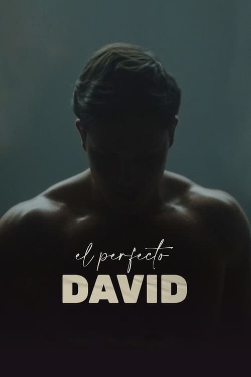 The Perfect David (2020)