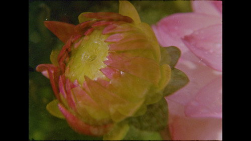 Now and in the time of our death