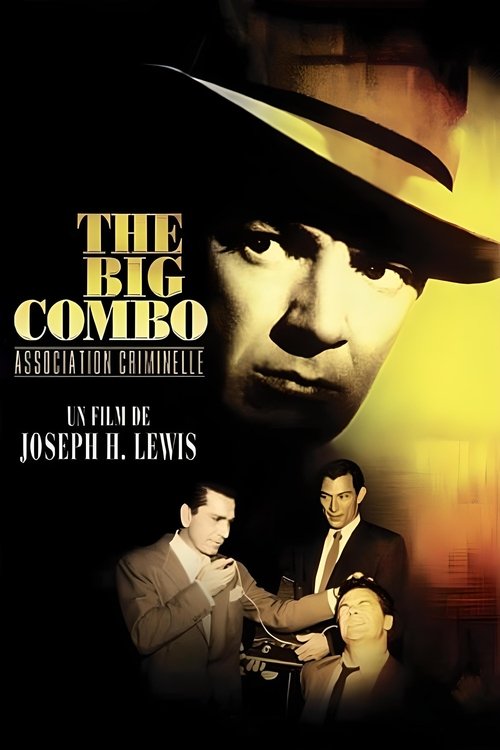 Poster 13