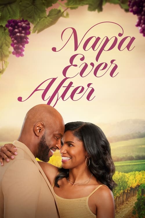 Napa Ever After poster