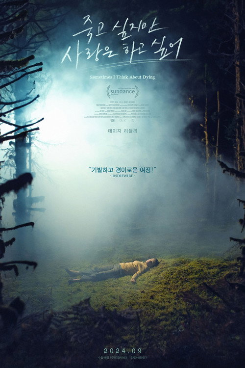 Sometimes I Think About Dying poster