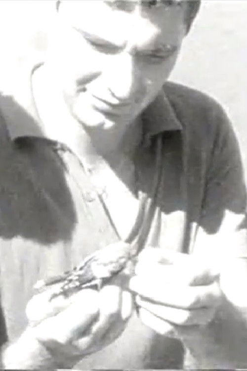 Oželanda - FİLM Afişi