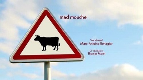Image de l'épisode 25