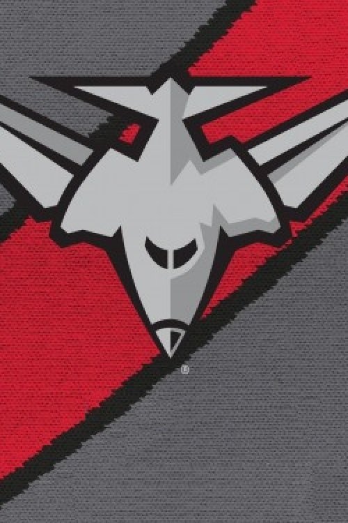 AFL ESSENDON movie poster player