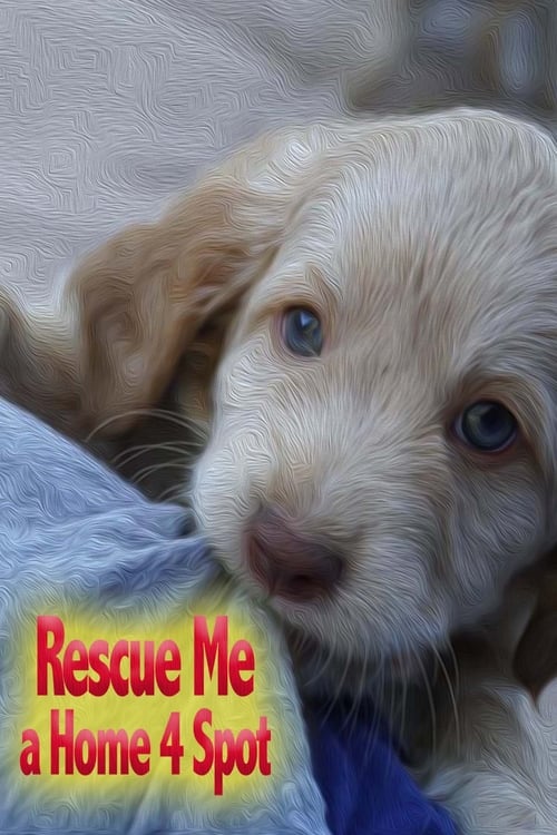 Rescue Me: A Home 4 Spot (2019)