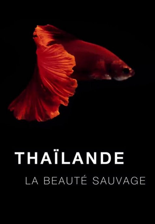 Imagen 6 del estreno de Tailandia salvaje