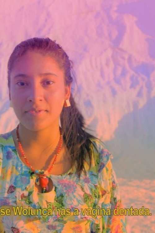 Wayuu Creation Myth movie poster player