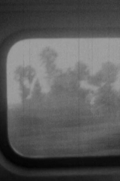 November in Oceanside