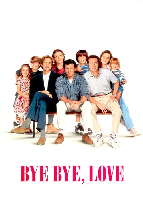 Bye Bye Love poster