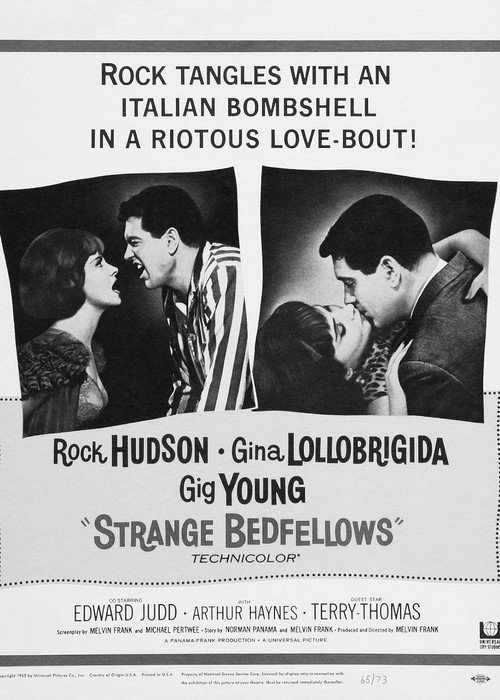Strange Bedfellows poster