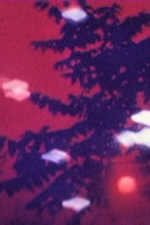 逢魔の森
