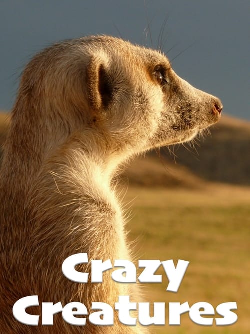 Crazy Creatures (2018) poster