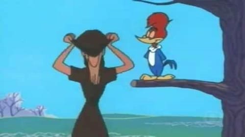 Poster della serie The Woody Woodpecker Show