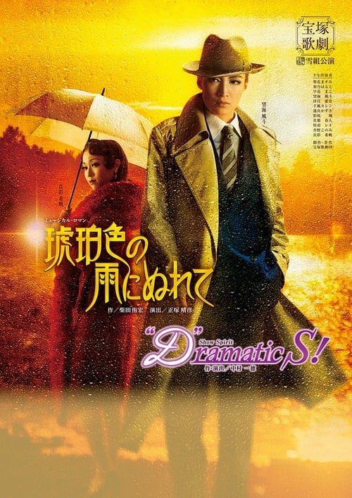 琥珀色の雨にぬれて (2017)