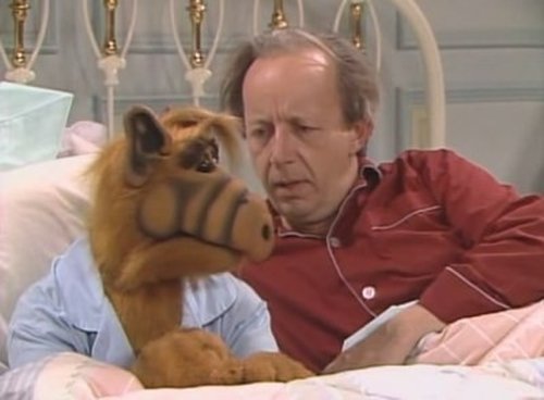 Assistir ALF, o ETeimoso S04E12 – 4×12 – Dublado Online Assistir ALF, o ETeimoso S04E12 – 4×12 – Dublado