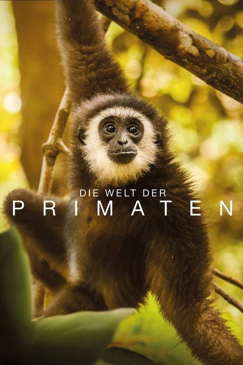 Die Welt der Primaten