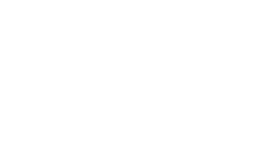 Fantastic Lies