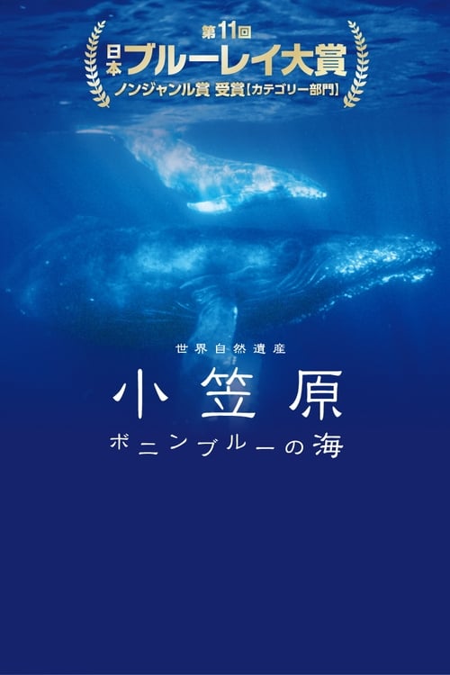 World Natural Heritage Ogasawara - The Sea of Bonin (2018)