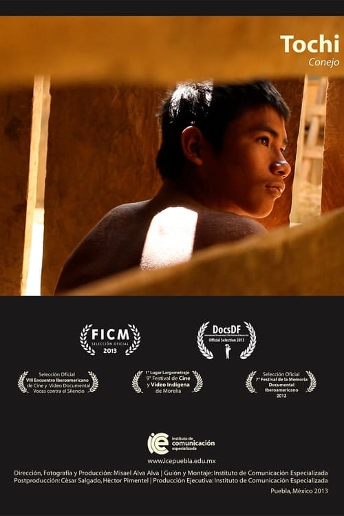 Tochi (2013) poster