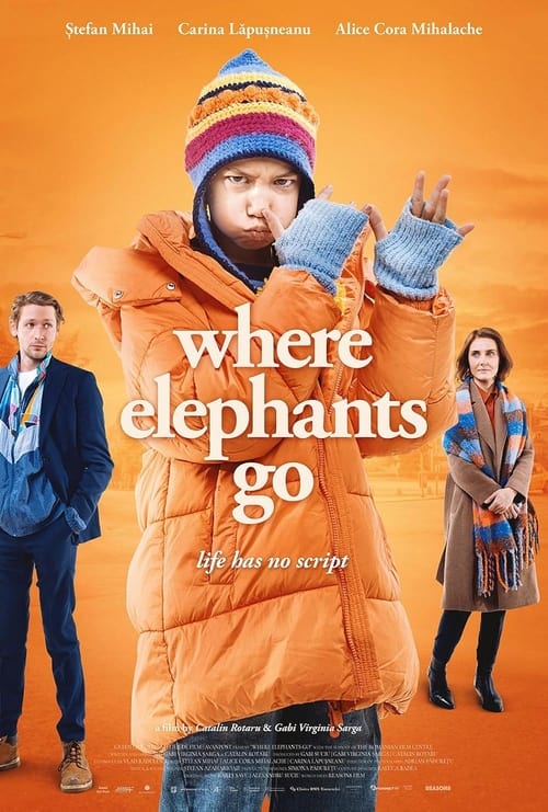 Where Elephants Go (2024)