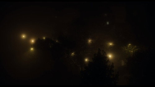 The Temple Woods Gang