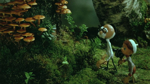 Cameraman Kõps in Mushroomland
