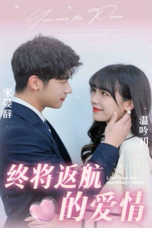 终将返航的爱情