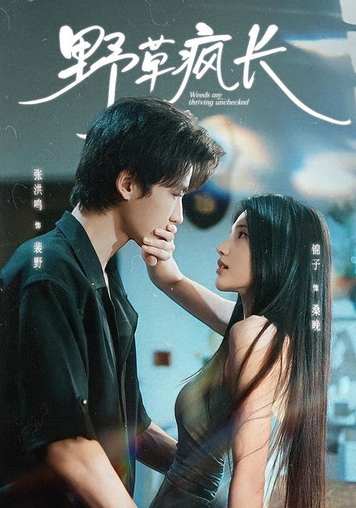 野草疯长 — Saison 1