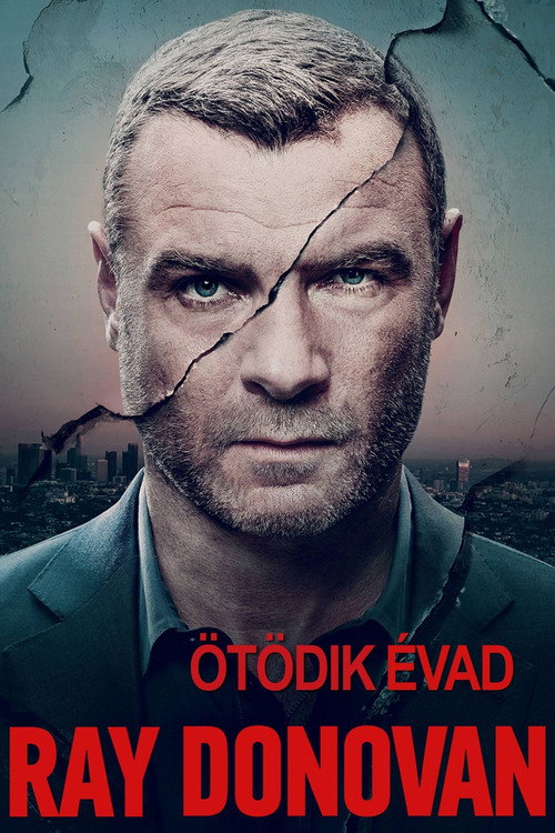 Ray Donovan 5. évad poszter
