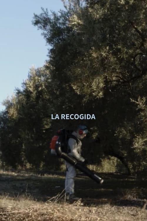 La Recogida